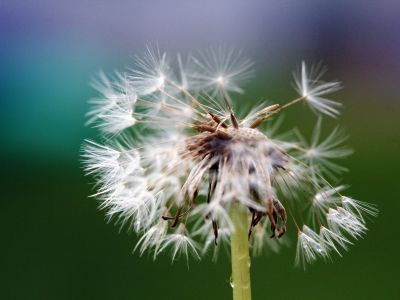 What is Agile Performance Management?
