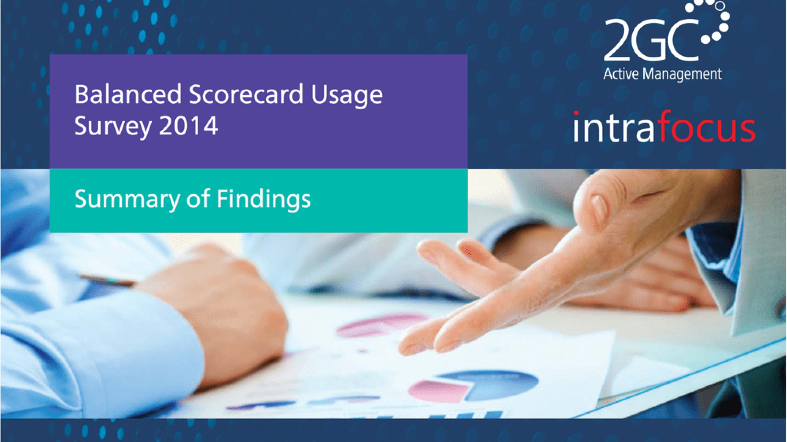 2014 Balanced Scorecard Usage Survey image