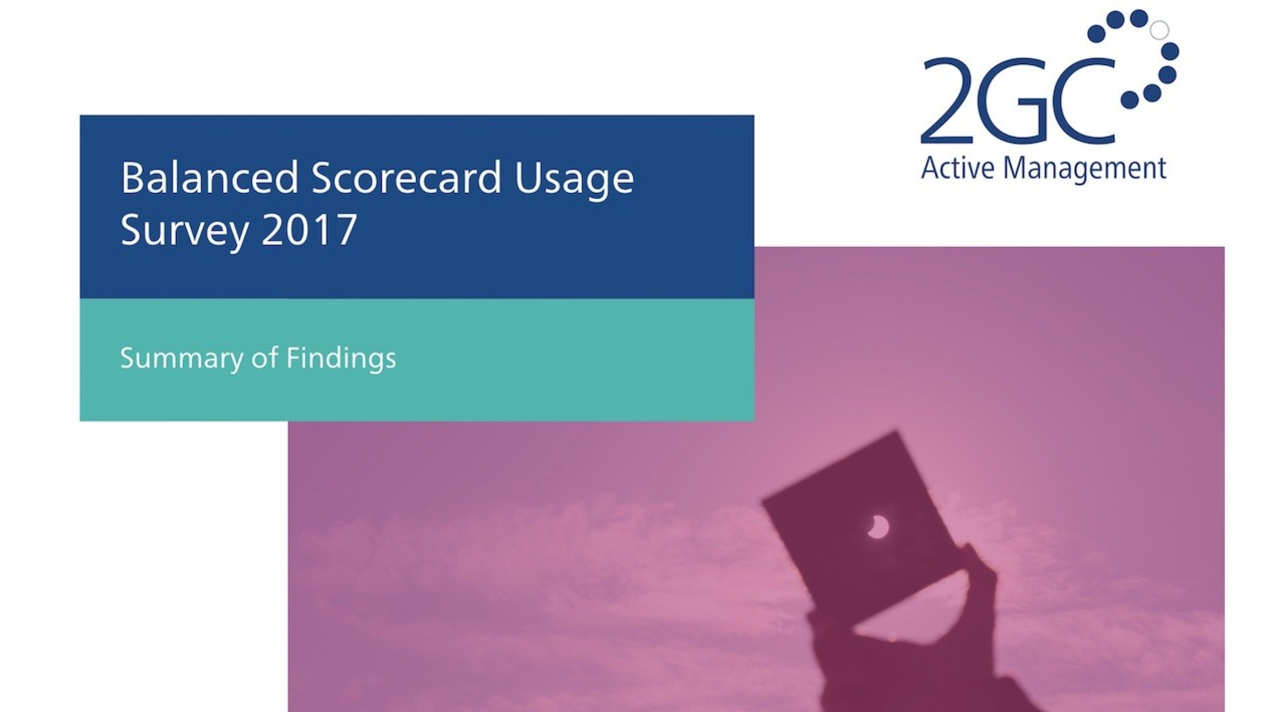 2017 Balanced Scorecard Usage Survey image