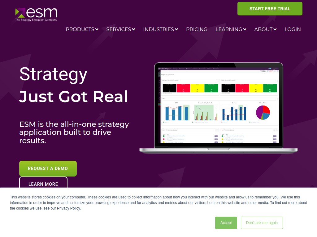 ESM Software Group