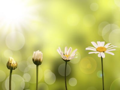 Five Steps to Achieve Strategic Success
