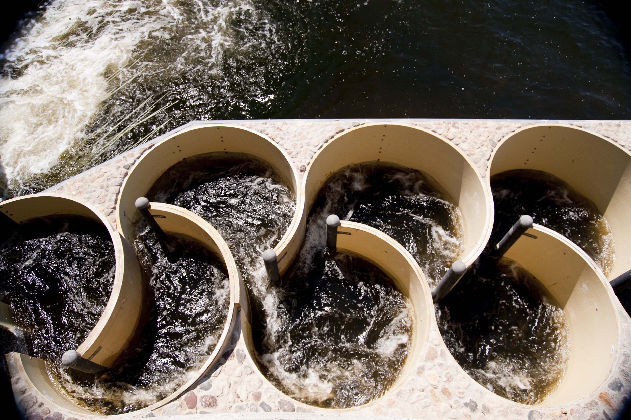 An image from the 2GC Active Management website