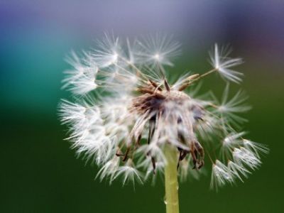 What is Agile Performance Management?
